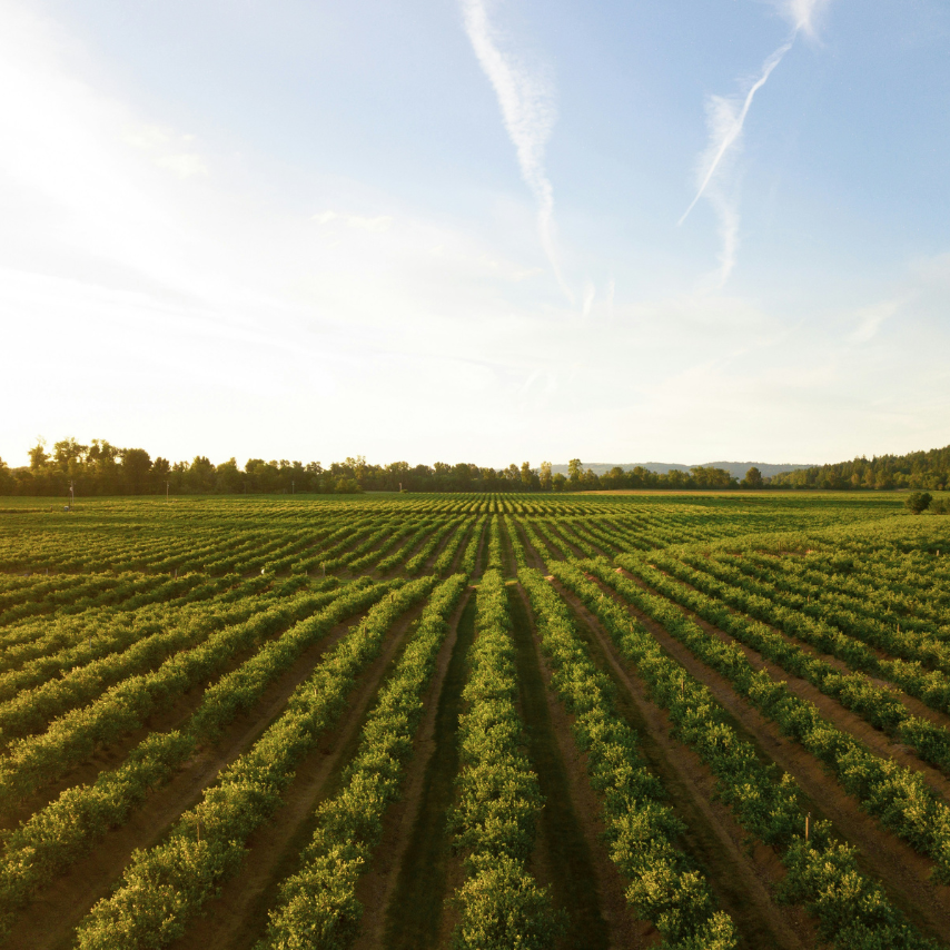 Vitisphere : Le vin doit arrêter d’emmerder les jeunes à vouloir les éduquer : "invitons-les juste à venir goûter et voir que c’est bon, que c’est simple"