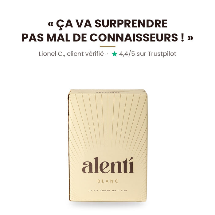 Cubi de vin blanc Alentí 3 L – photo 6