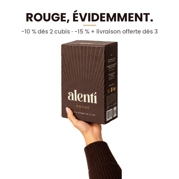 Cubi de vin rouge Alentí 3 L – photo 6