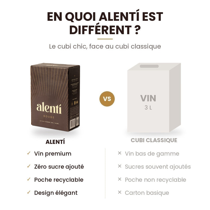 Cubi de vin rouge Alentí 3 L – photo 4